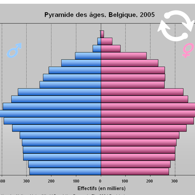 Pyramide des âges, Belgique, 2005.