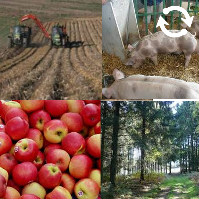 Images évoquant l'agriculture et l'expoitation forestière en Belgique