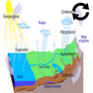 Schéma du cycle de l'eau